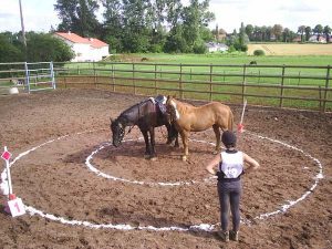 TREC Ã  Basse-Ham